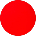 NOAM RAVIV profile picture